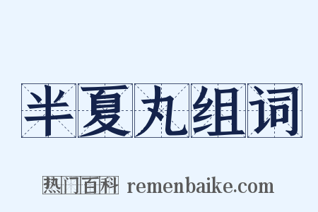 半夏丸组词是什么意思的图片